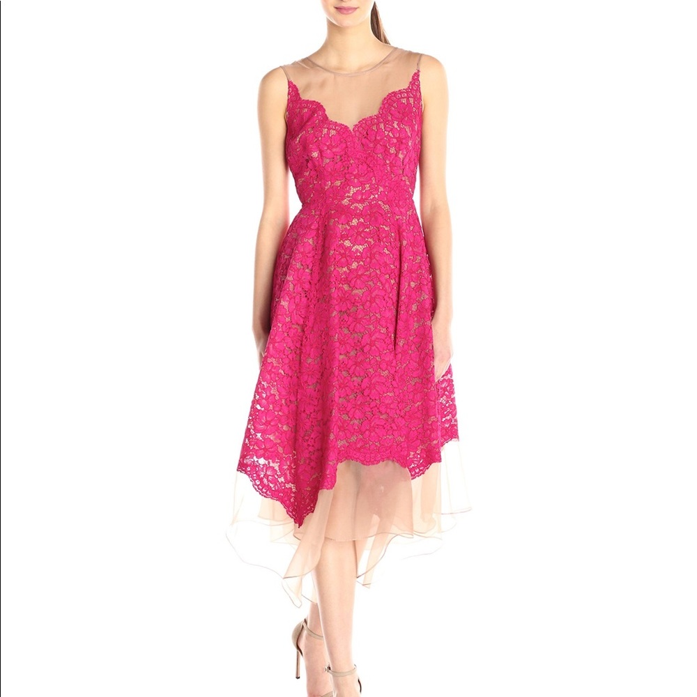 Anthropologie Tracy Reese Pink/Nude. NWT! Sz 2.